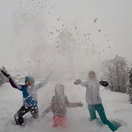 Karlhof Apartament *