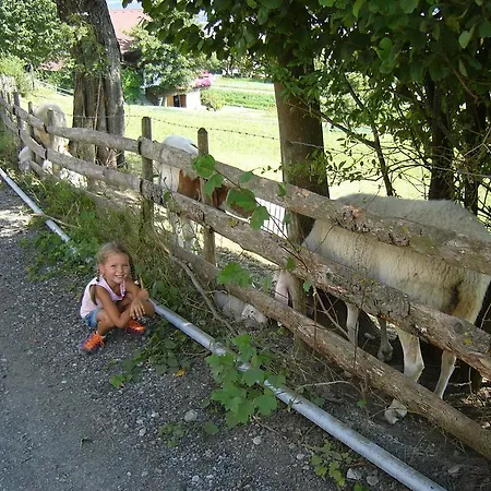 Karlhof Lägenhet
